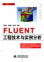 FLUENT工程技术与实例分析